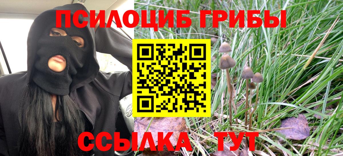 Галлюциногенные грибы прущие грибы Тихорецк